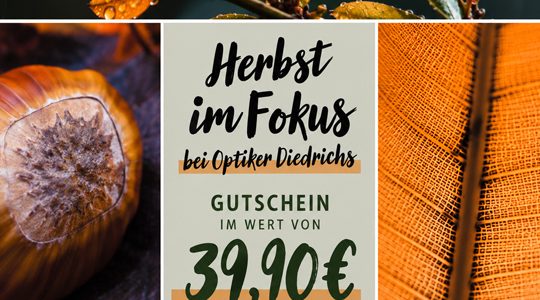 Herbst im Fokus